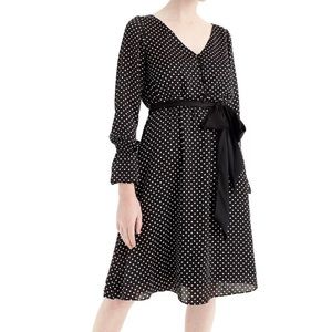 JCrew long sleeve polka dot dress